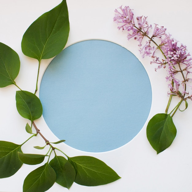 Template made of leaves, blooming lilac flowers, and a round frame on white background Premium Photo
