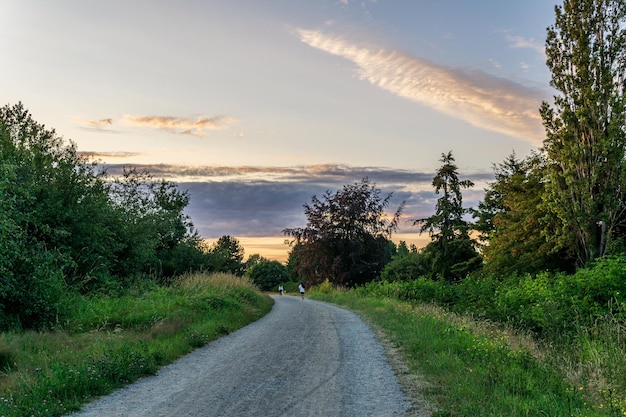 Premium Photo | Terra nova natural area trail hiking path in the forest