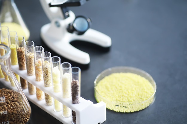 Premium Photo | Test Tubes With Seeds Of Selection Plants. Research ...