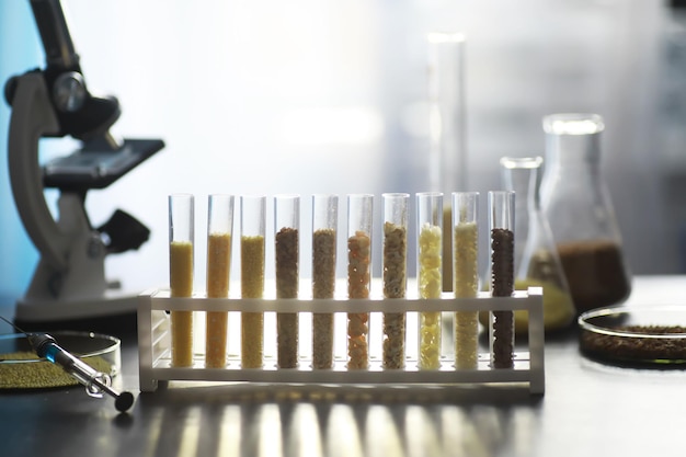 Premium Photo | Test tubes with seeds of selection plants. research ...