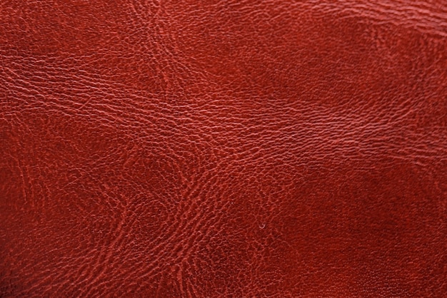Texture Fabric Real Leather Close, Real Leather Fabric