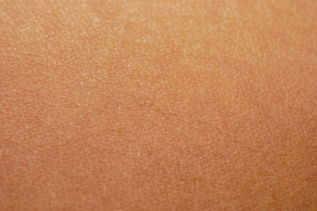 Texture Of The Skin.dark Skin Of Woman Hand Macro. Human Skin Texture 