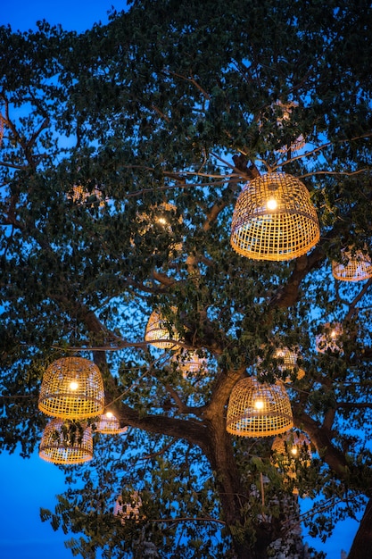 Thai Style Rustic Lamp Make With Chicken Coop Photo Premium Download