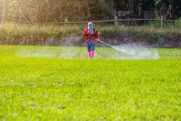 Premium Photo | Thailand man farmer to spray herbicides or chemical  fertilizers.