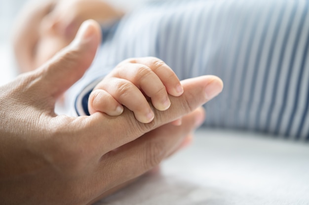 母の指を握る新生児の手 無料の写真