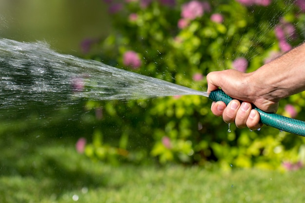 男は庭のホースを手に持ち 植物に水をやり ホースの端をつまんで 水をよりよく噴霧します プレミアム写真