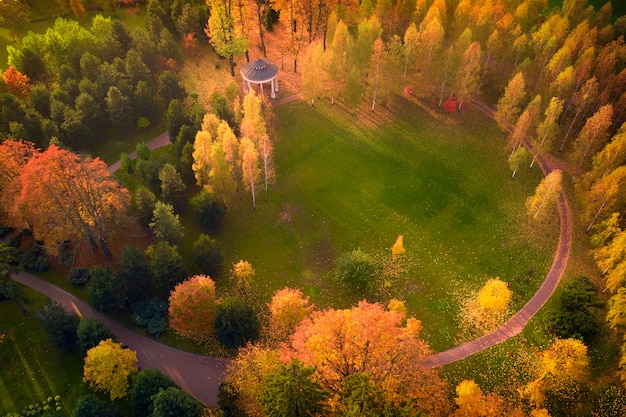 Желто Зеленая Осень Фото