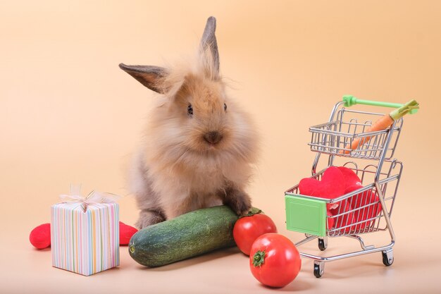 オレンジ色のうさぎには たくさんの野菜が食べ物やギフトボックスとして置かれています プレミアム写真