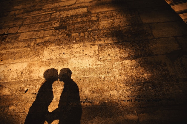 古いお城の壁にキスカップルの影 プレミアム写真