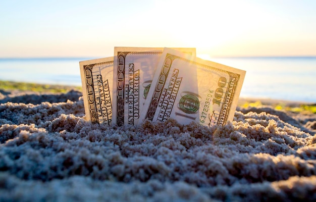 Premium Photo | Three dollar bills are buried in sand on sandy beach ...