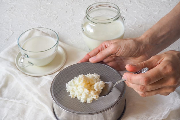 Raw milk kefir grains