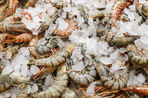 Premium Photo | Tiger prawns on ice, fresh raw whole chilled, at the ...