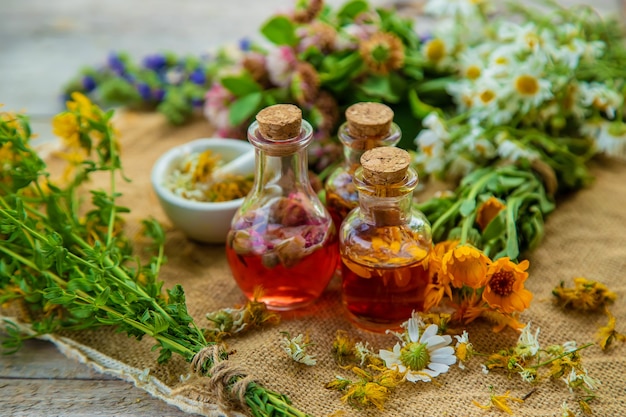 Premium Photo | Tincture of medicinal herbs in bottles. nature.