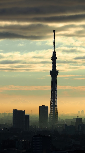 東京スカイツリーのシルエットの建物と空と雲と夕日 プレミアム写真