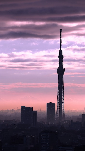 東京スカイツリーのシルエットの建物と空と雲と夕日 プレミアム写真