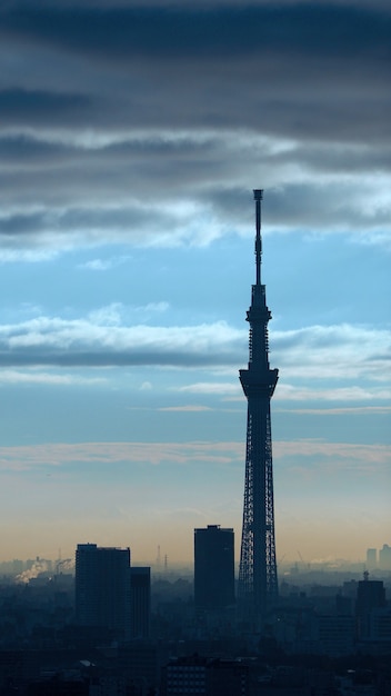 東京スカイツリーのシルエットの建物と空と雲と夕日 プレミアム写真