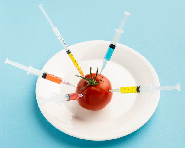 Free Photo | Tomato injected with gmo chemicals high view