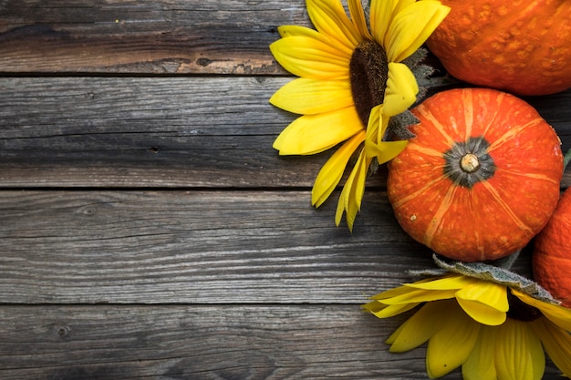 Free Photo | Top view arrangement with sunflowers and pumpkins