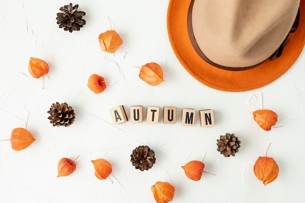Top view autumnal arranegement with pine cones Free Photo