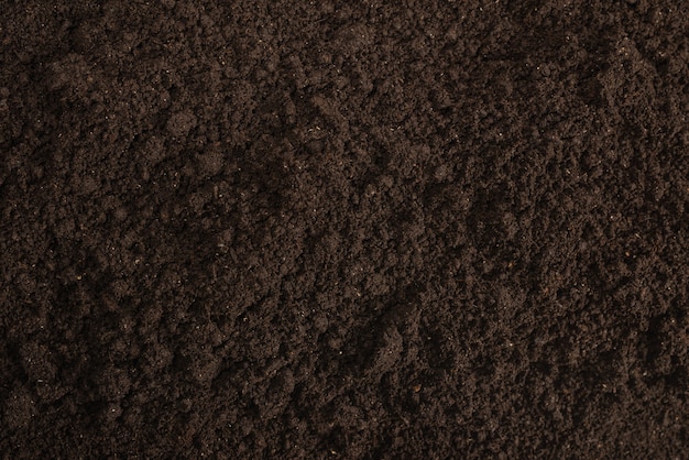 Premium Photo | Top view of dark soil