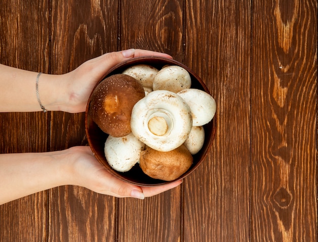 Free Photo | Top view of female hands holding fresh mushrooms in a wood ...