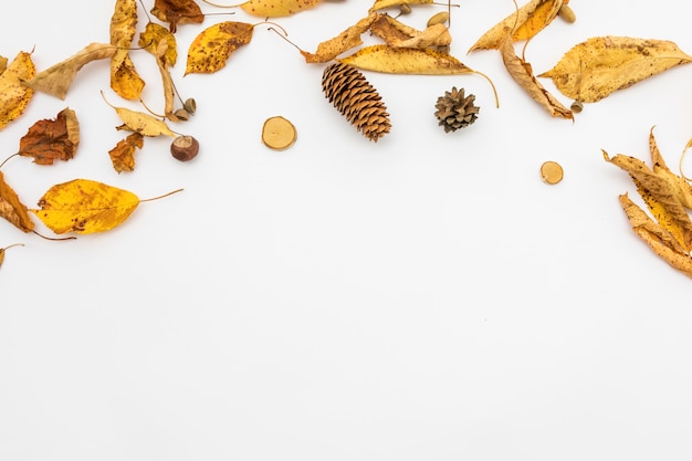 Top view frame with leaves and pine cone Free Photo
