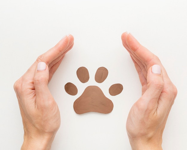 Healthy Paws protect your pets