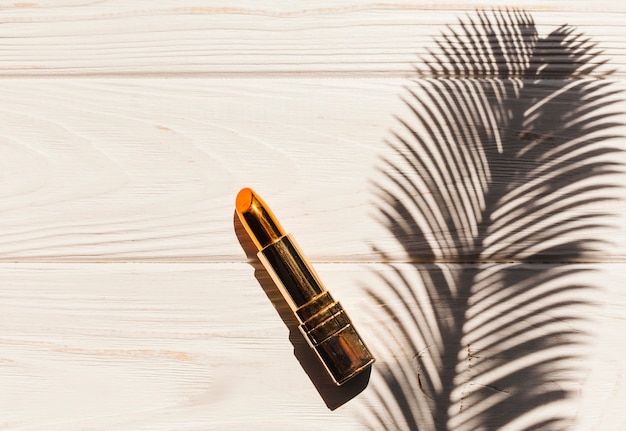 Top view lipstick with palm branch shadow Free Photo