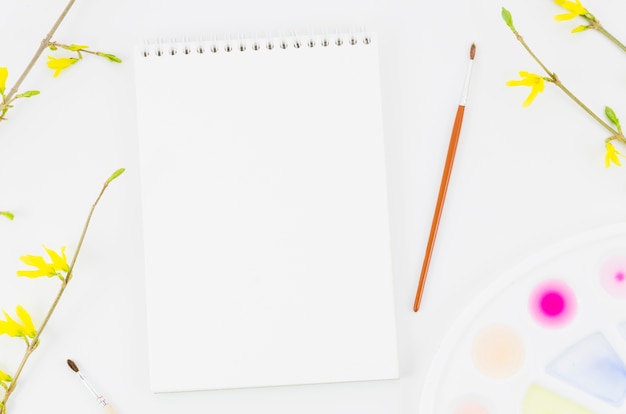 Top view notebook with watercolor and branch Free Photo