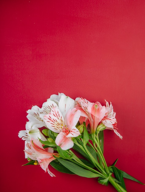 コピースペースと赤の背景に分離されたピンク色のアルストロメリアの花の花束のトップビュー 無料の写真