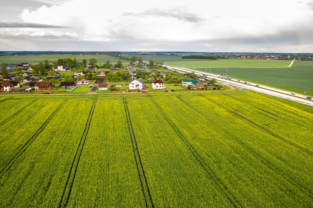 Фото засеянное поле