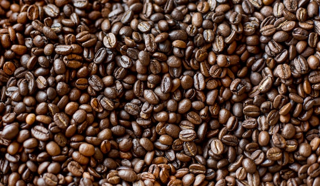 焙煎したコーヒー豆の上面図 無料の写真