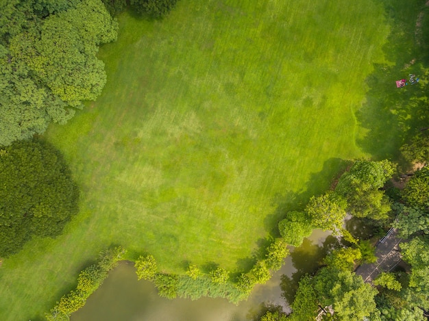 Premium Photo | Top view of park