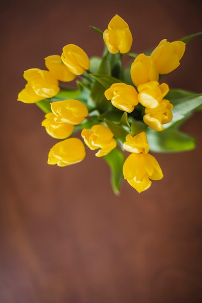 Free Photo | Top view of pretty yellow plants