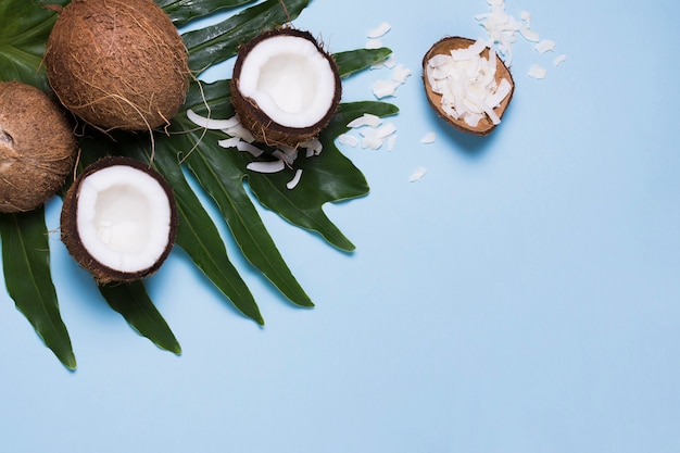 Free Photo | Top view selection of tasty coconuts with copy space