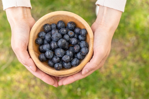 Top view woman holding bowl with blueberries Free Photo