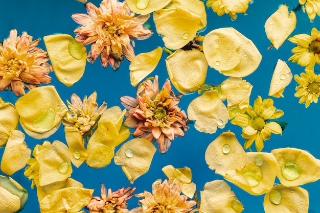 Free Photo Top View Yellow Flowers In Blue Water