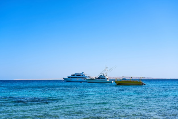 tourist boat red sea