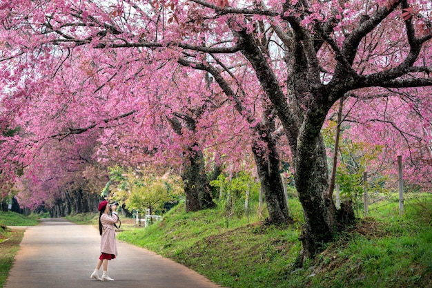観光客は春のピンクの桜で写真を撮ります 無料写真
