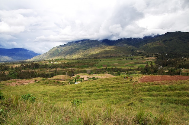 The tracking in valley of wamena papua indonesia  