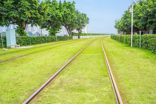 tracks with grass Free Photo