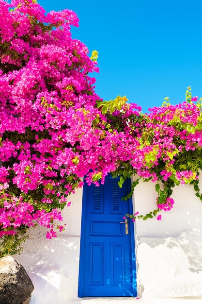 Premium Photo | Traditional greek architecture and pink flowers on ...