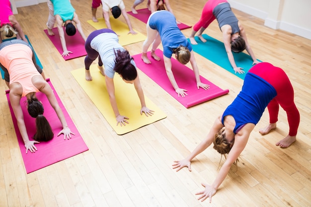 Free Photo | Trainer assisting group of people with downward dog yoga ...