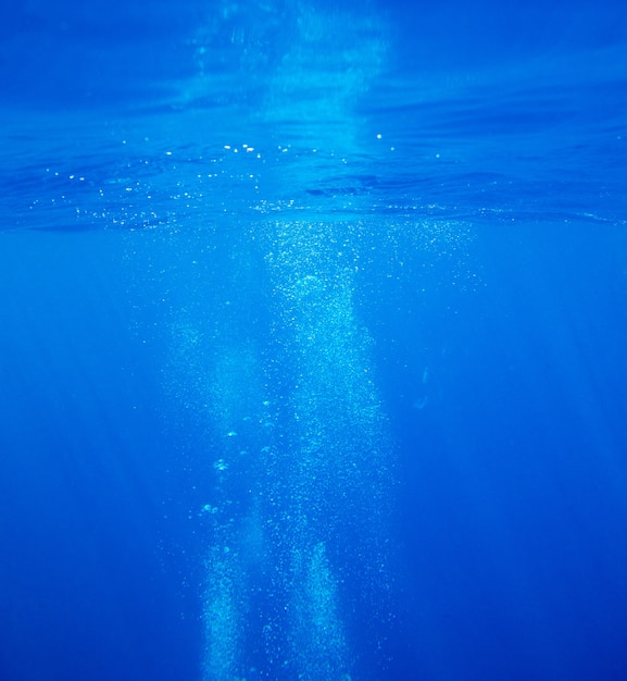 Premium Photo | Tranquil underwater scene with copy space