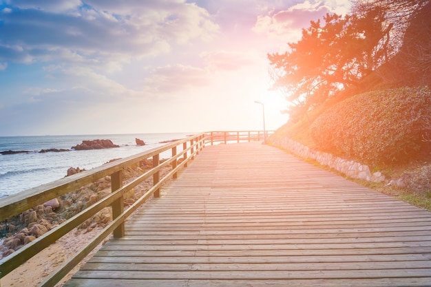 tranquility horizon rock light the sea summer Free Photo tranquility horizon rock light the sea summer Free Photo