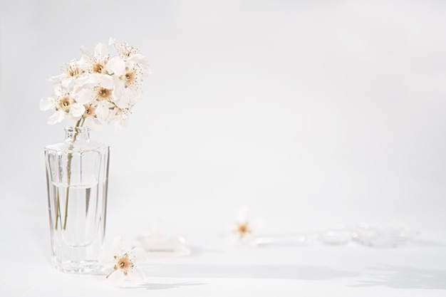 A transparent bottle of perfume and a sprig with white flowers next to which lies a glass rod and a cap Premium Photo