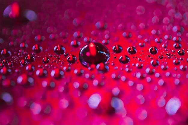 Transparent water droplets textured on dark red surface Free Photo
