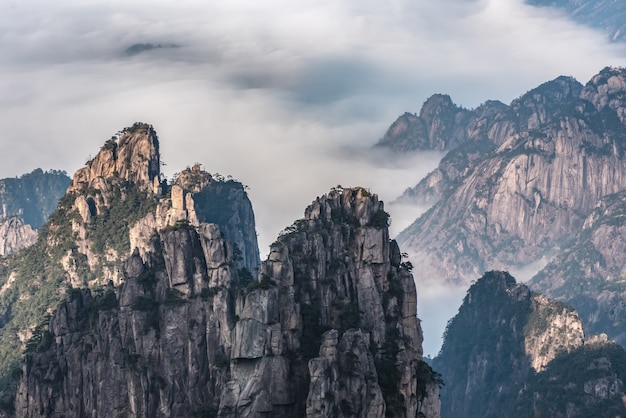 Premium Photo | Travel landmark of huangshan mountain with pine trees ...