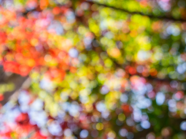 Premium Photo | Tree blur background