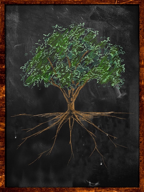 Tree sketch color leaves and root on blackboard Free Photo